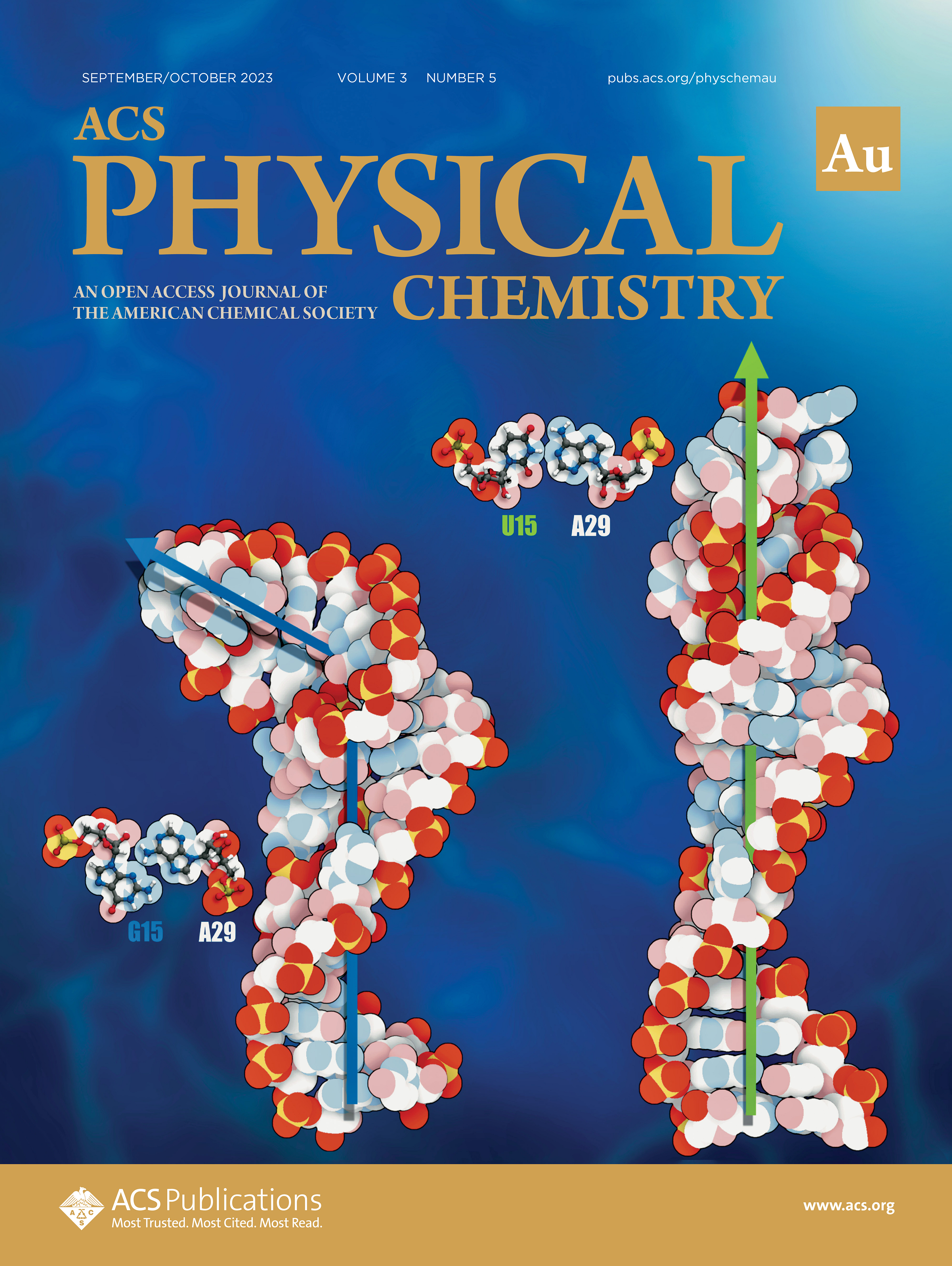 ACS Physical Chemistry Au cover art featuring RNA structural imagery.